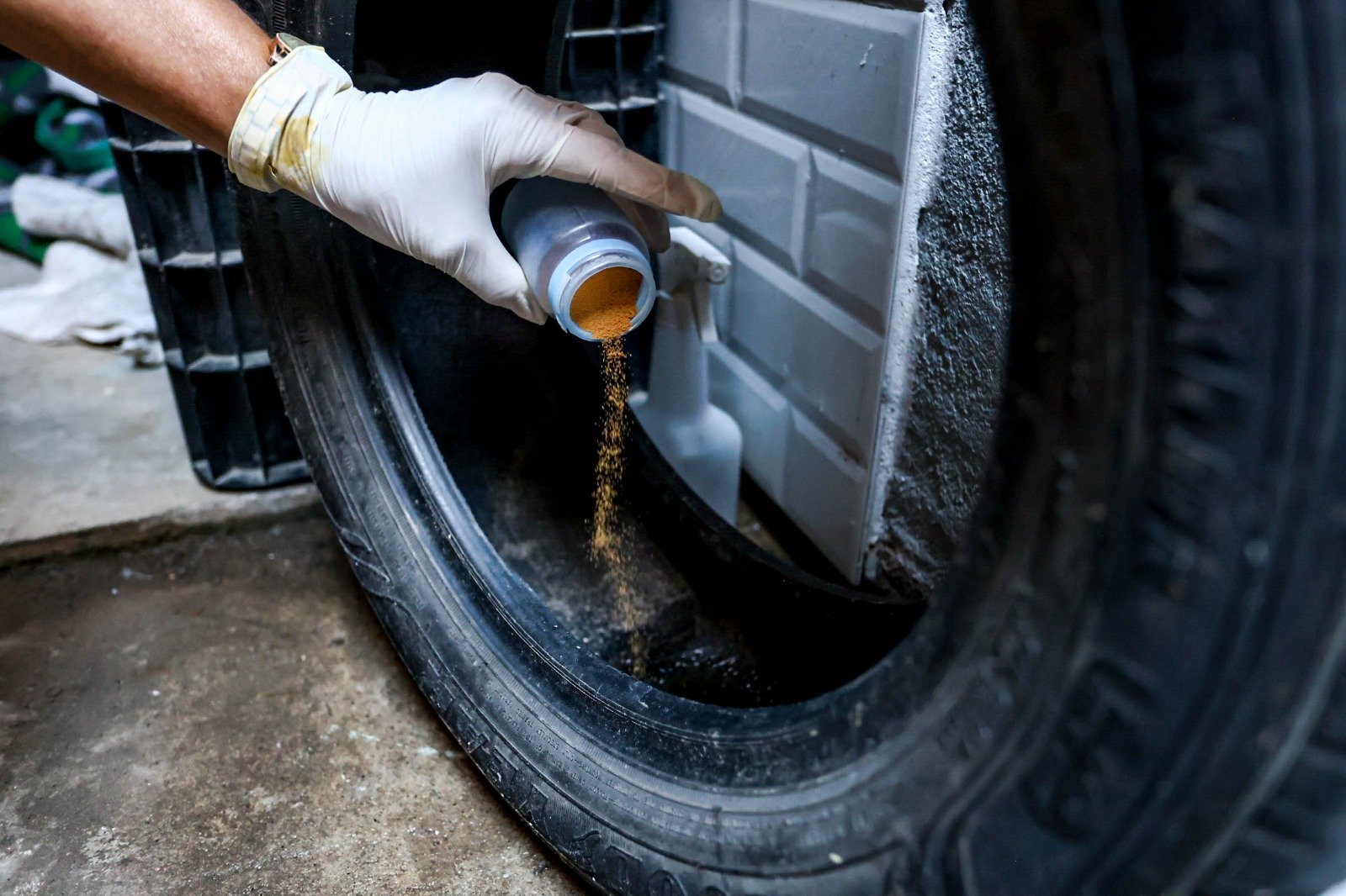 Ações contra Aedes aegypti abrangem 47 bairros de Guarulhos Ações contra Aedes aegypti abrangem 47 bairros de Guarulhos